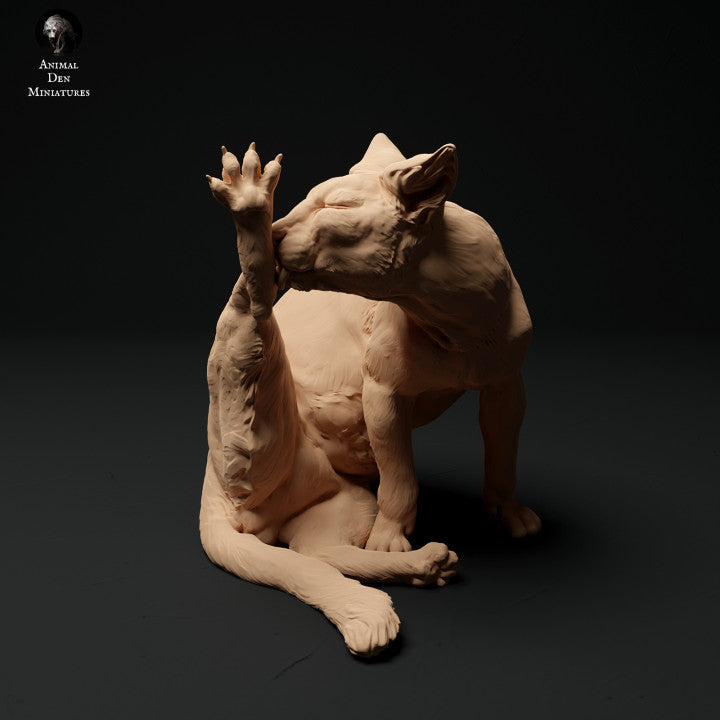 Foto del producto figura de mascota diorama, modelismo: 0: figura de mascota: gato acicalándose