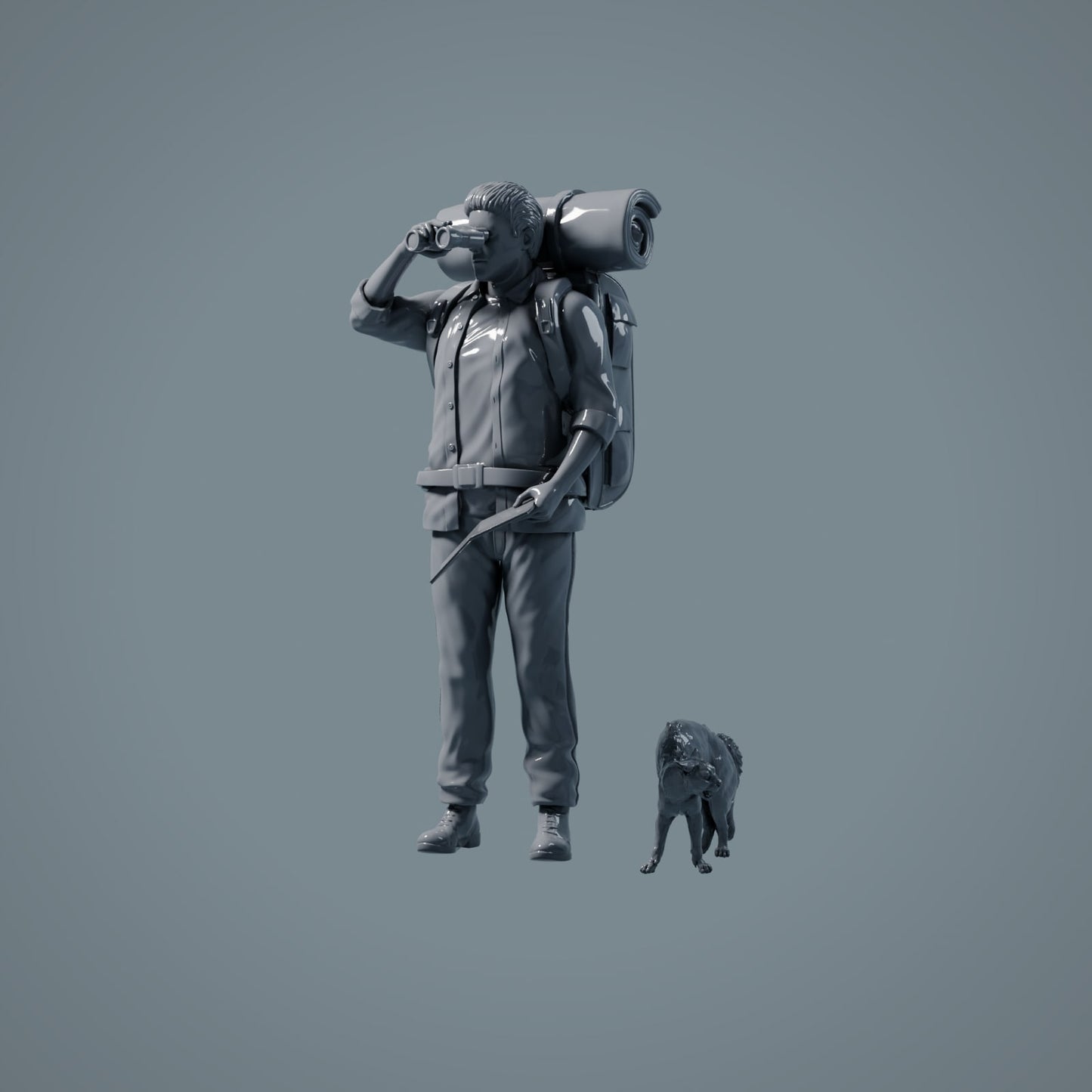 Figura de mascota: gato se resiste (a003)