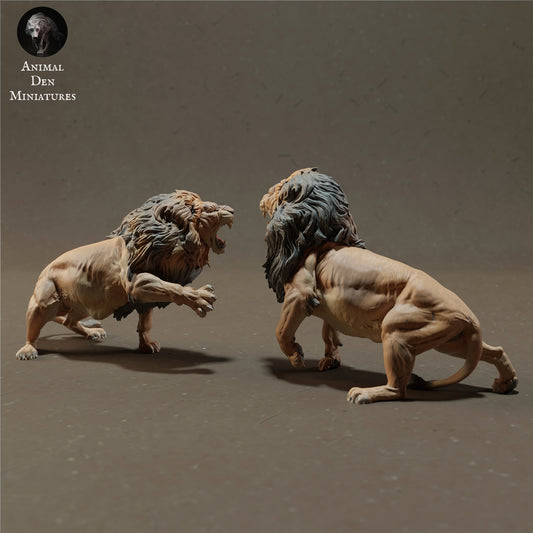 Foto del producto figura de animal diorama, modelismo: 0: leones luchando - animales de la sabana