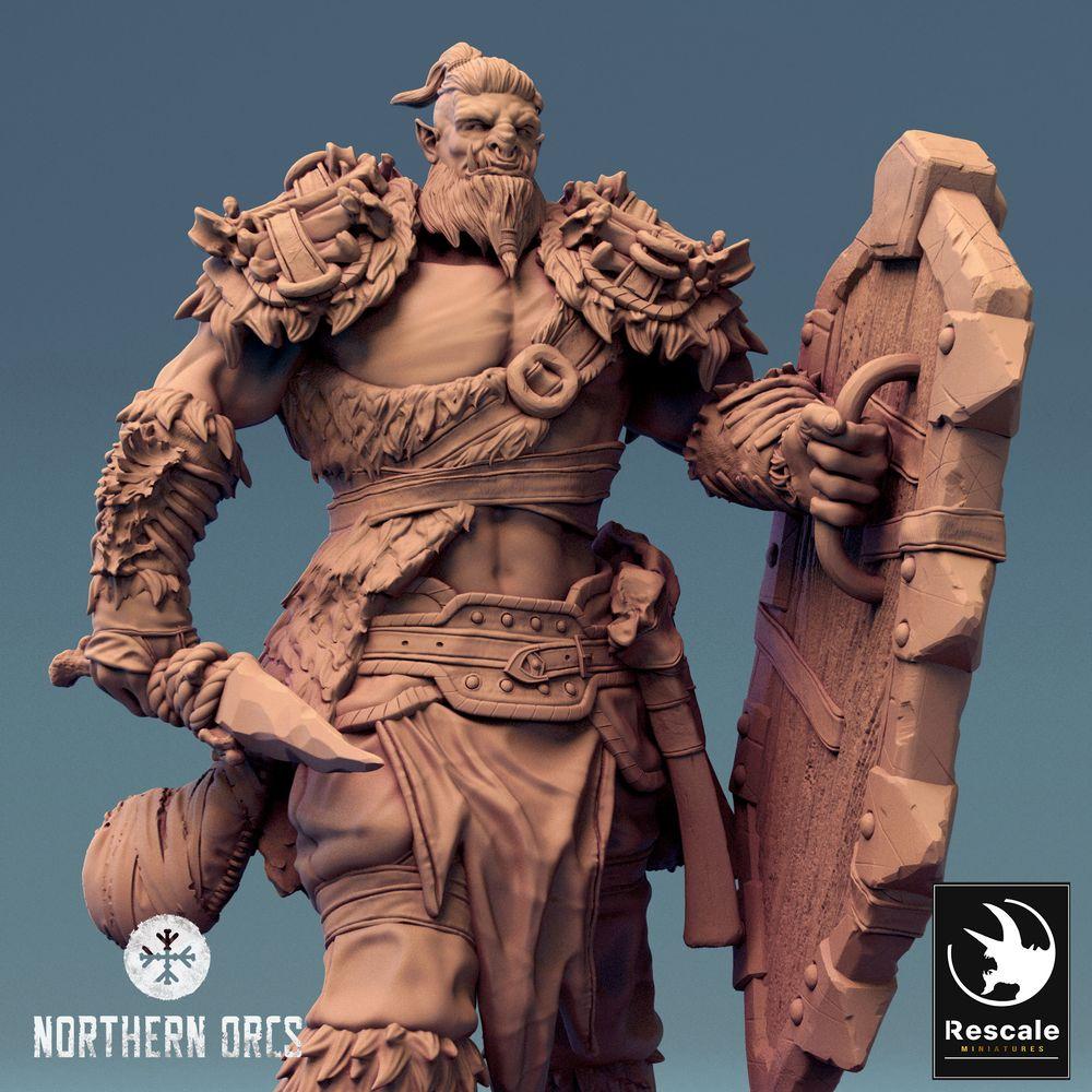 Foto del producto Tabletop 28mm Lord of the Print (LotP) 0: Miniatura de Tabletop: Guerrero Orco con escudo y hacha, Guerrero Orco, Portador de escudo, Señor de la Guerra (24_04_G1)