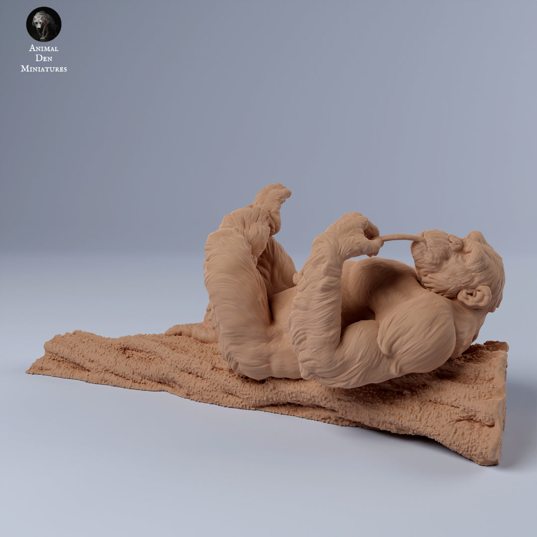 Foto del producto figura de animal diorama, modelismo: 0: macho de chimpancé acostado en una rama: animales de África