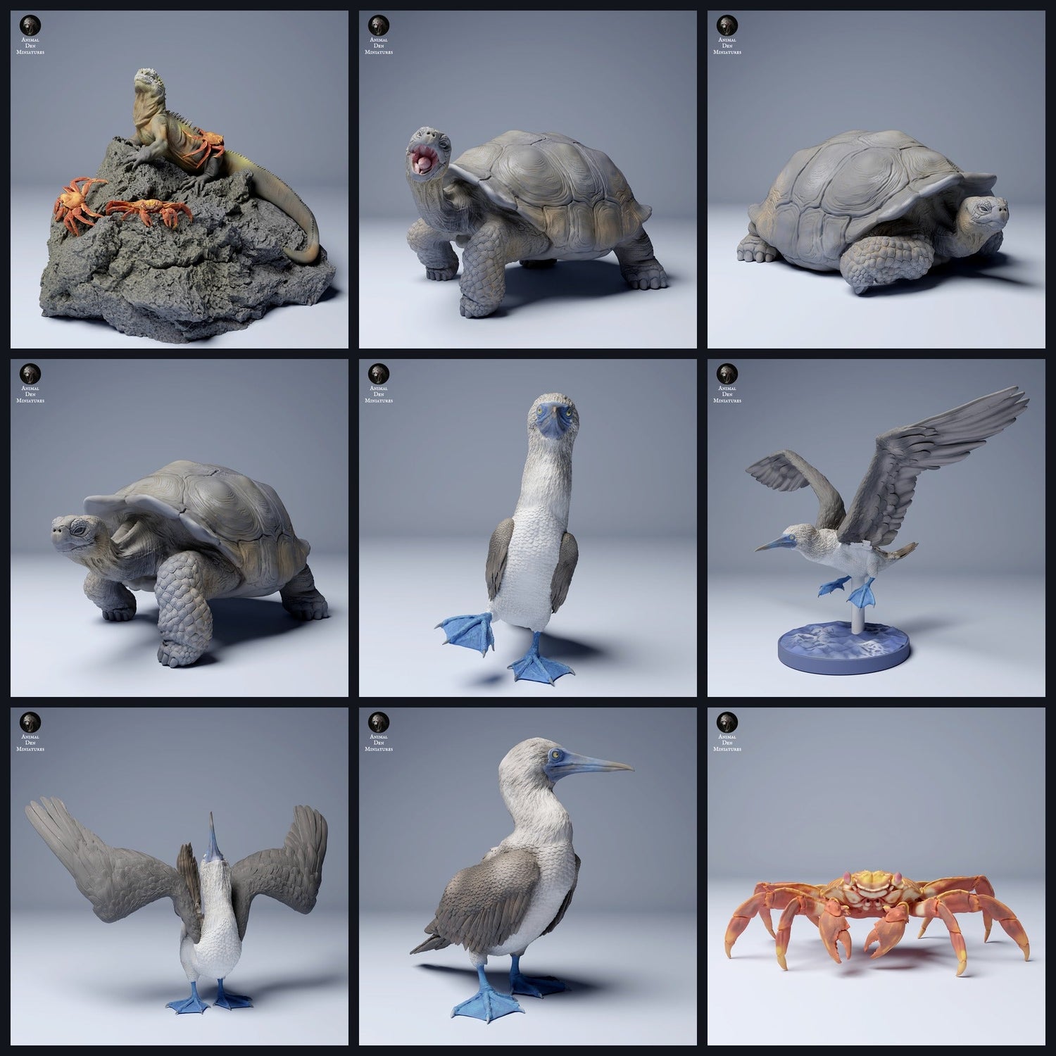Esta imagen es la imagen de categoría para el lanzamiento 24_08: Galápagos-miniaturas de animales y figuras de animales para dioramas y modelismo