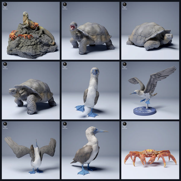Esta imagen es la imagen de categoría para el lanzamiento 24_08: Galápagos-miniaturas de animales y figuras de animales para dioramas y modelismo