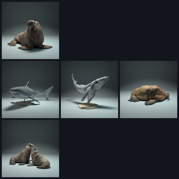Esta imagen es la imagen de categoría para el lanzamiento 22_09: Meeres-miniaturas de animales para dioramas y modelismo