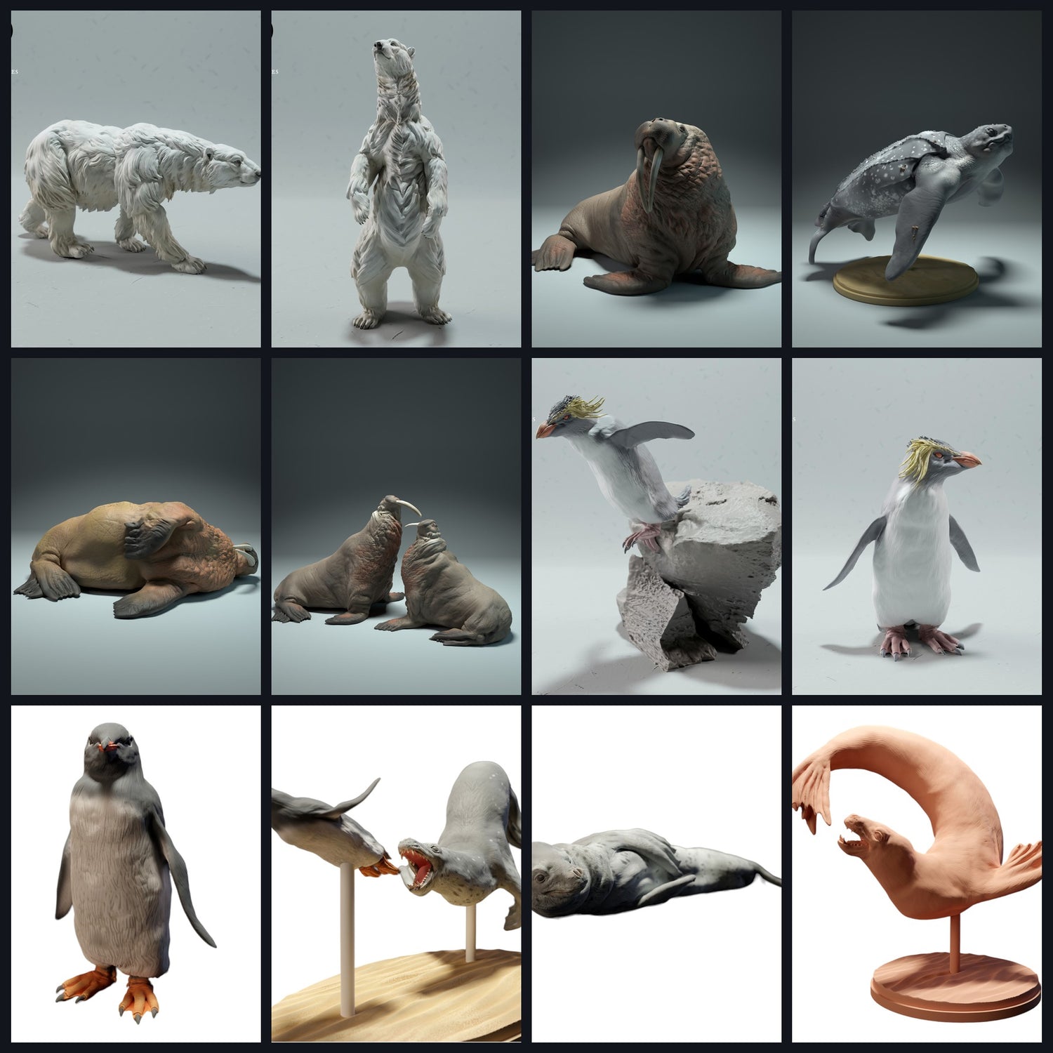 Esta imagen es la imagen de categoría para Hábitat: Costa y Mar Interior (Arrecifes/Estuarios)