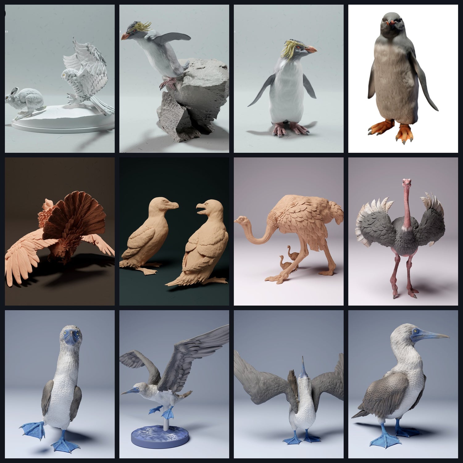 Esta imagen es la imagen de categoría para la especie animal: Aves (incl. pingüinos)