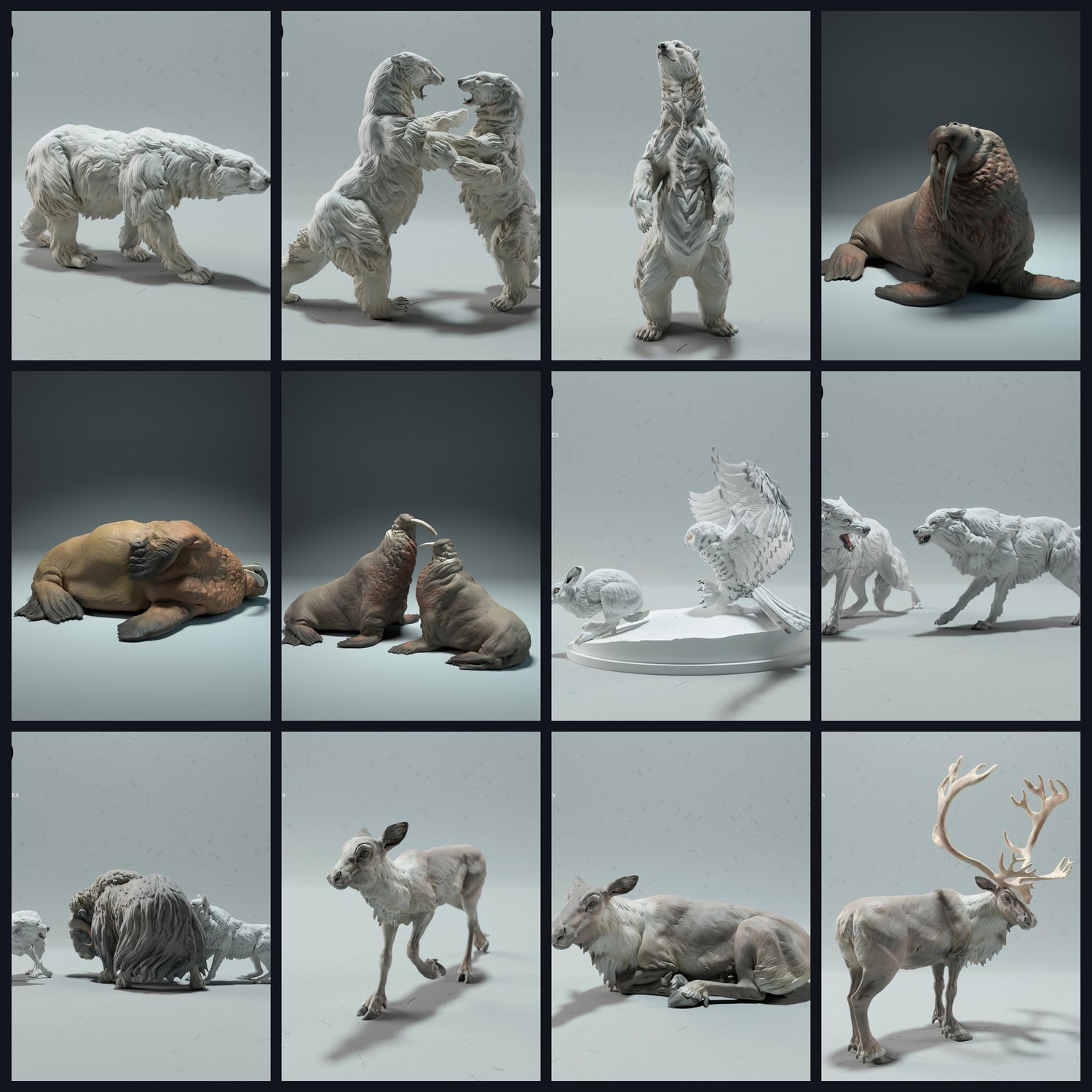 Esta imagen es la imagen de categoría para hábitat: Tundra/Polar