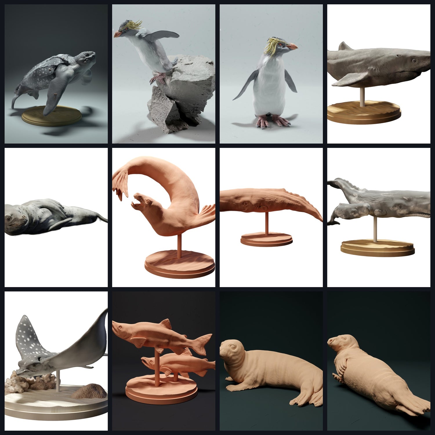 Esta imagen es la imagen de categoría para hábitat: Océano abierto