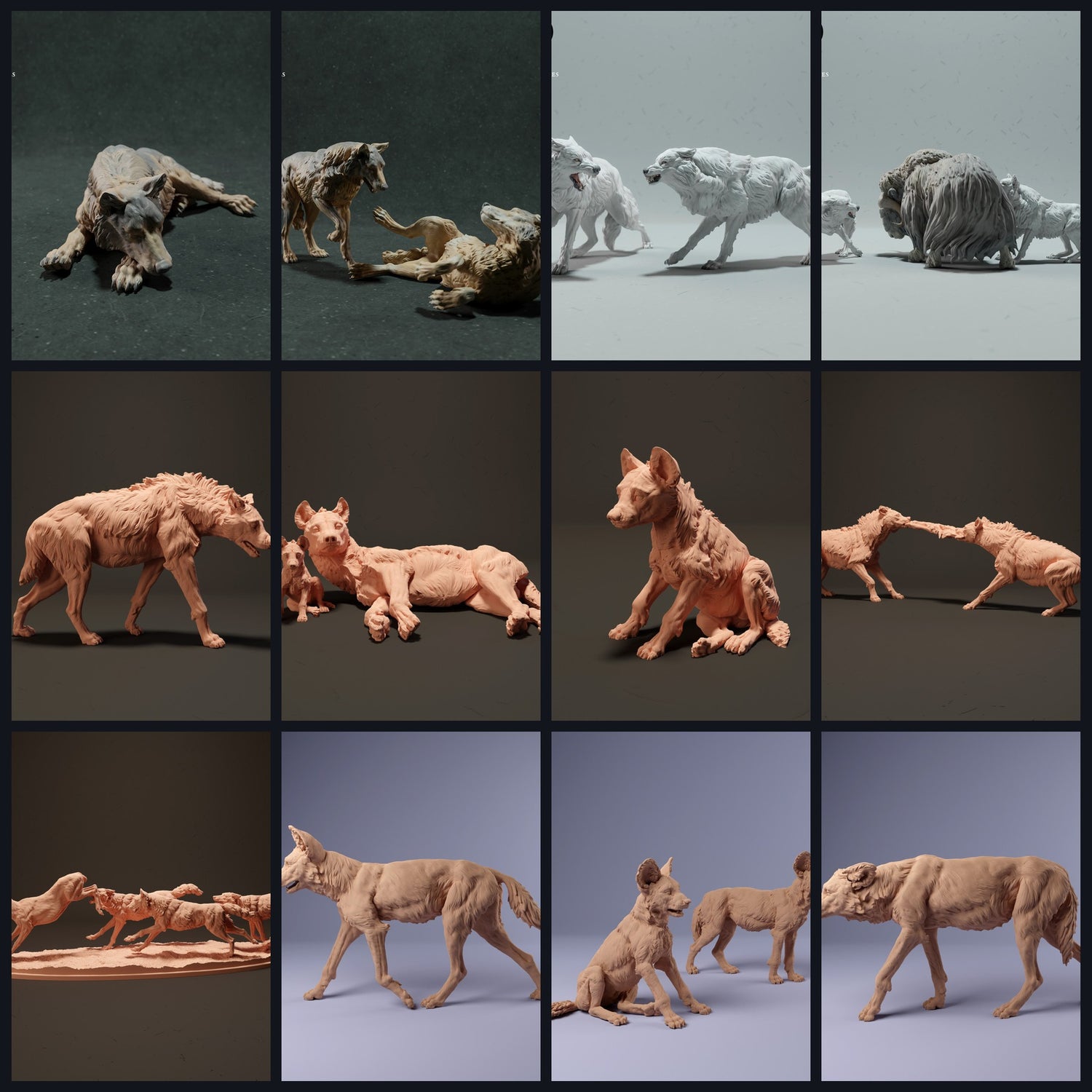 Esta imagen es la imagen de categoría para la especie: Caninos y Tanuki