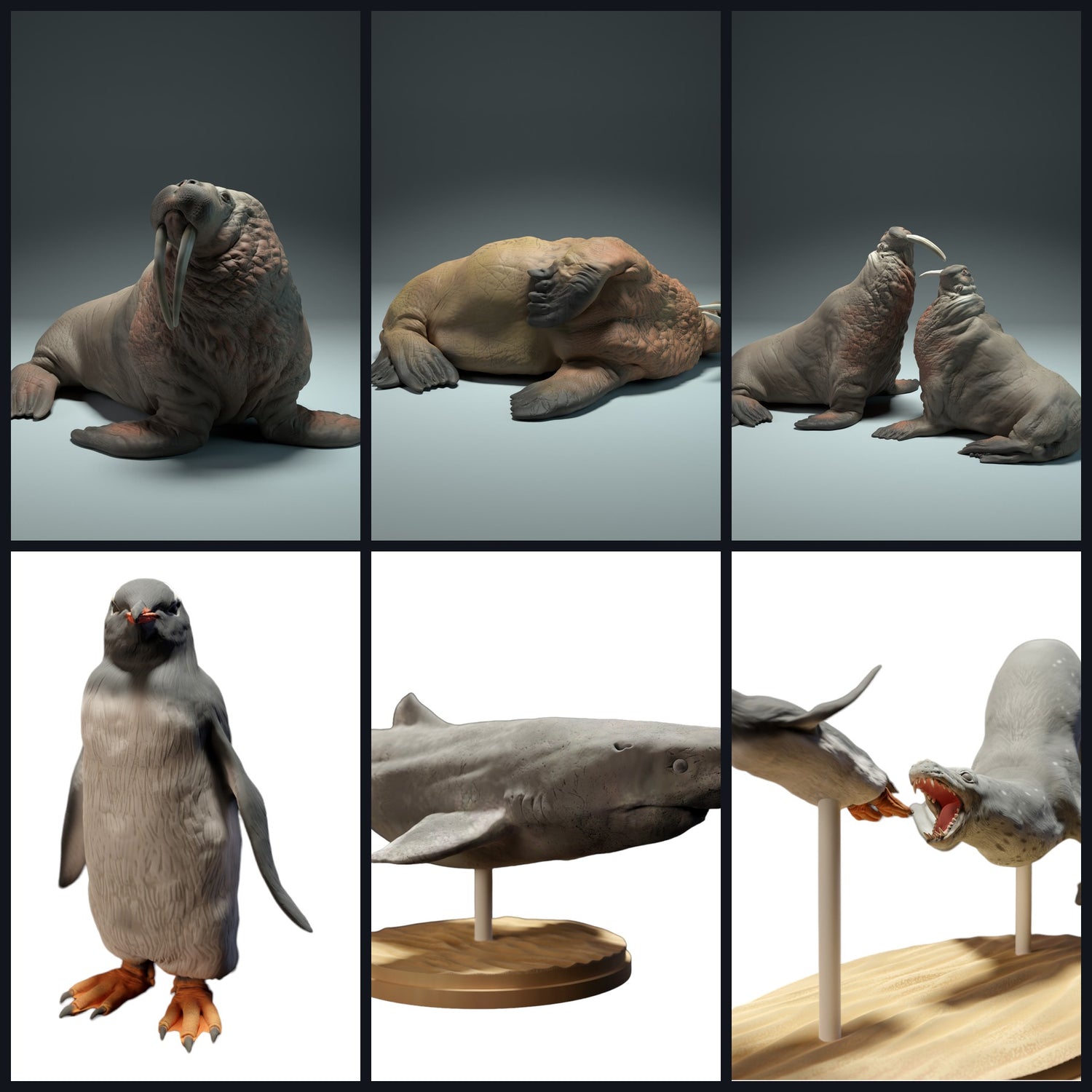 Dieses Bild ist das Kategoriebild für Lebensraum: Polarmeer