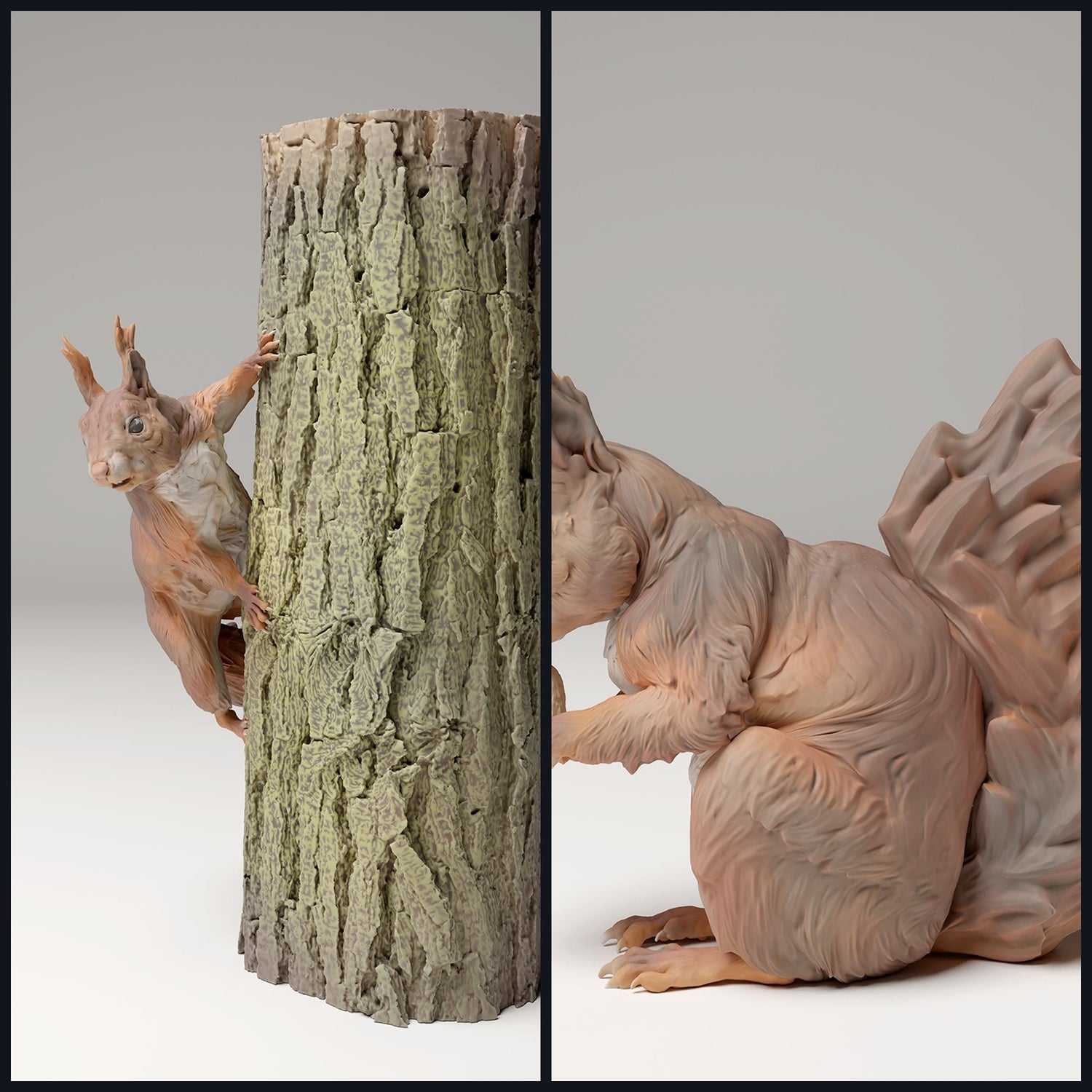 Esta imagen es la imagen de categoría para la especie animal: roedores y liebres.