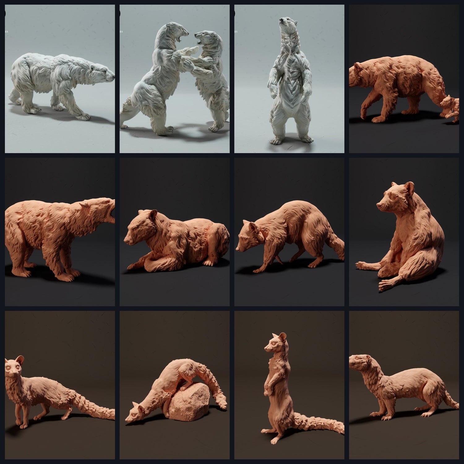 Dieses Bild ist das Kategoriebild für Tierart: Bären & Kleinraubtiere