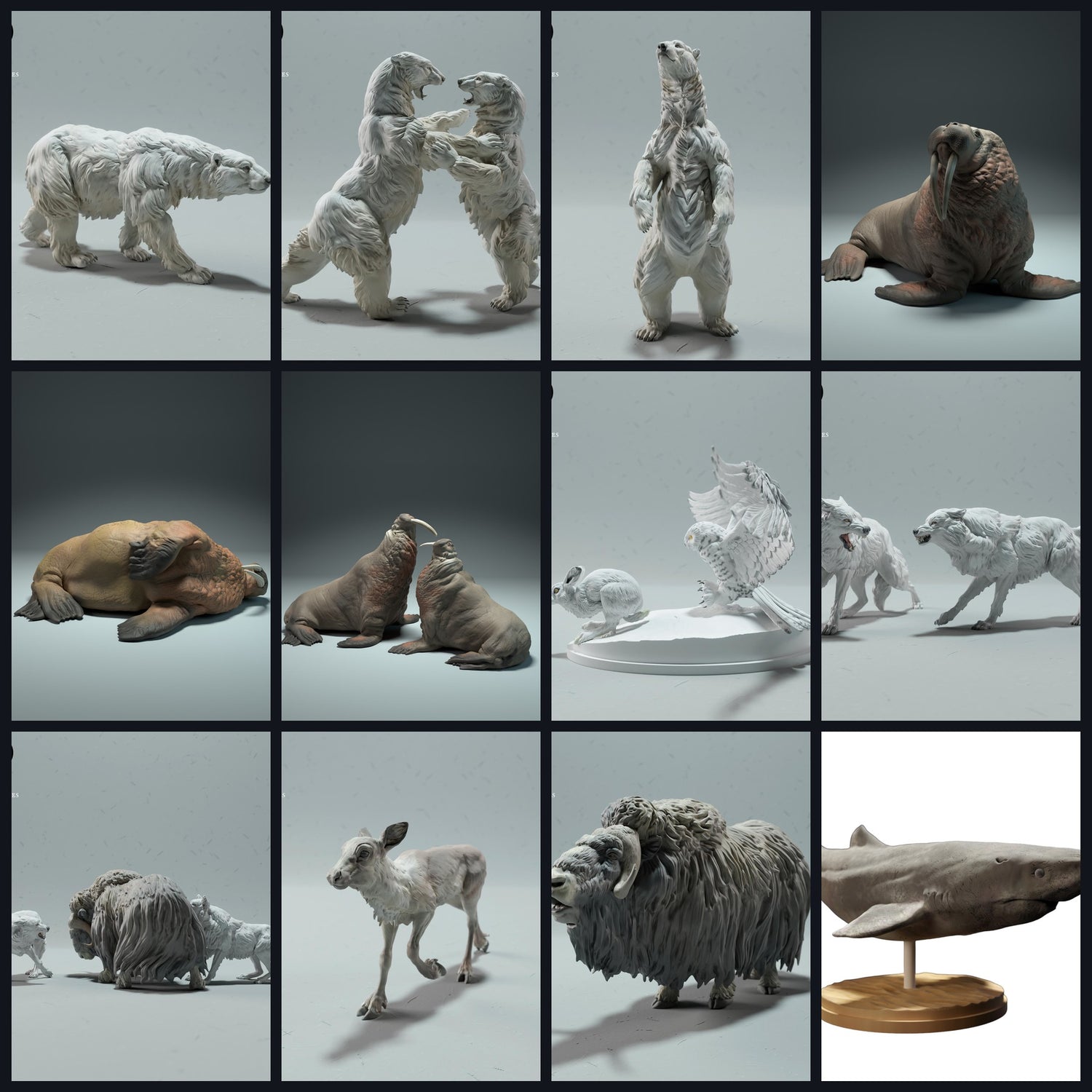 Esta imagen es la imagen de categoría para la región: Ártico