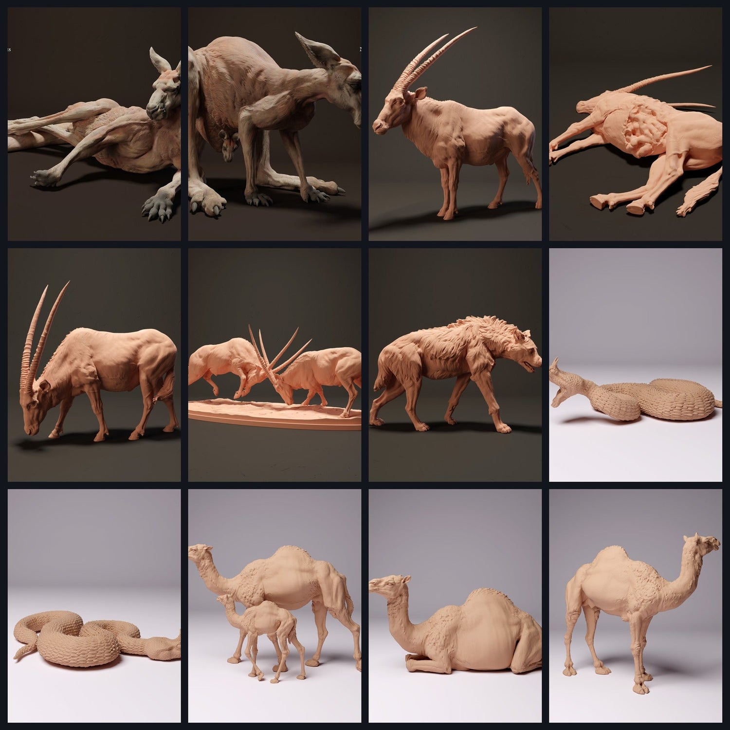 Dieses Bild ist das Kategoriebild für Lebensraum: Wüste/Halbwüste