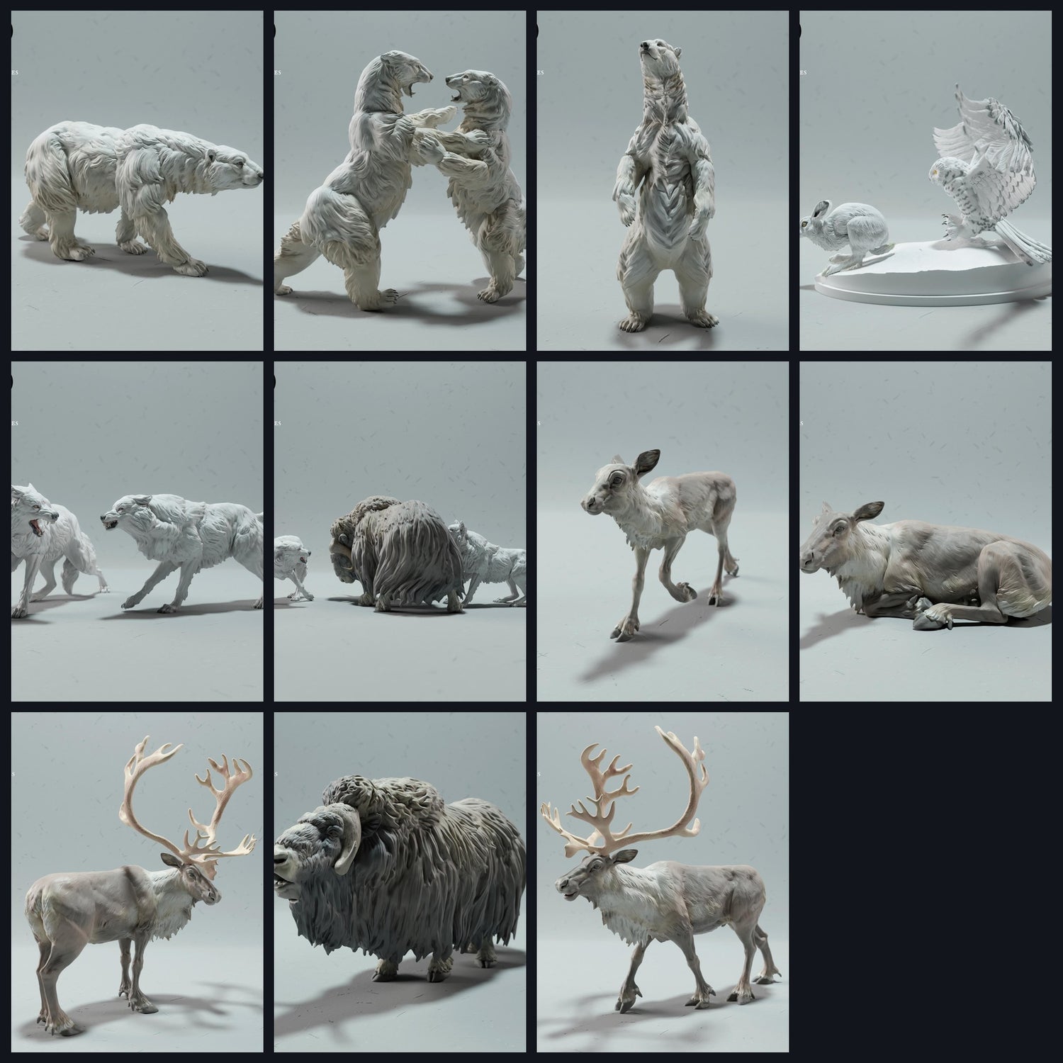 Dieses Bild ist das Kategoriebild für Lebensraum: Tundra/Polar