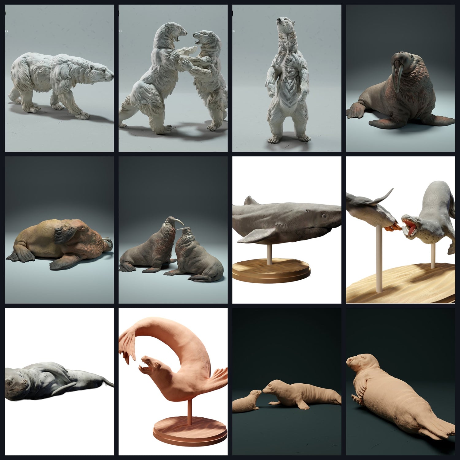 Esta imagen es la imagen de categoría para hábitat: Océano Ártico