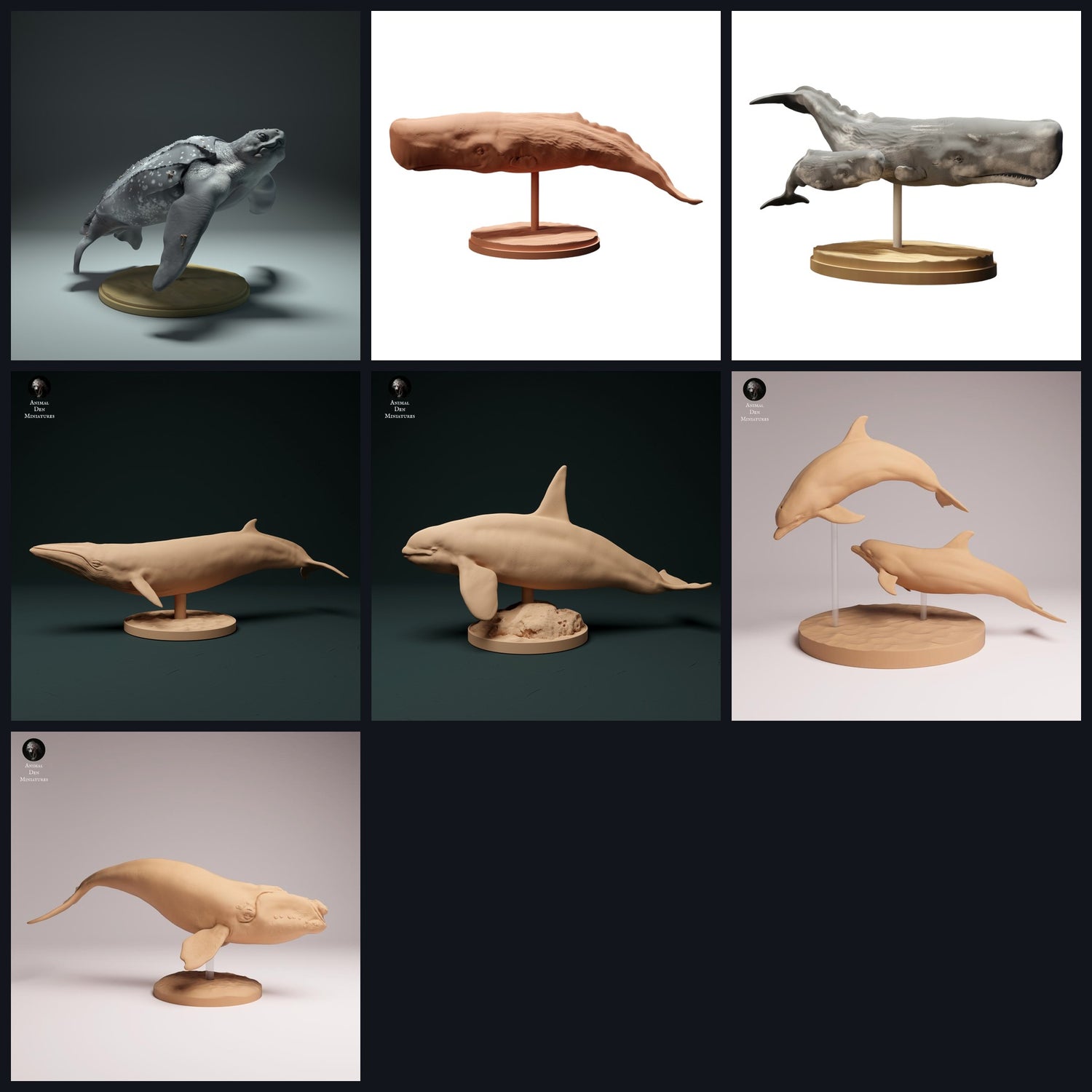 Dieses Bild ist das Kategoriebild für Lebensraum: Offener Ozean