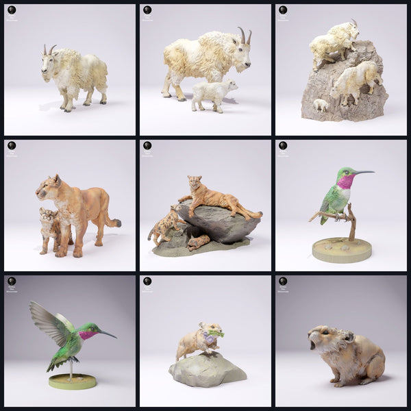 Esta imagen es la imagen de categoría para el lanzamiento 25_01: Gebirgs-miniaturas de animales y figuras de animales para diorama