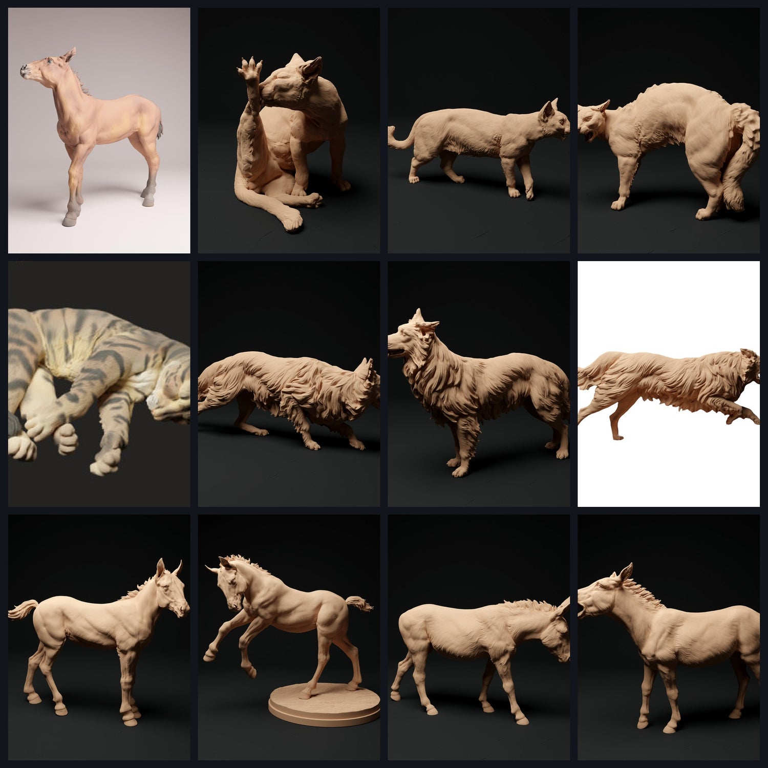 Dieses Bild ist das Kategoriebild für Region: Global