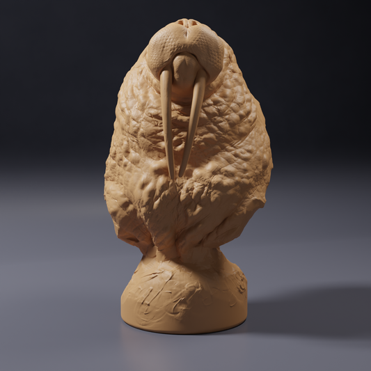 Foto del producto, figura de animal Animal Den Miniatures 0: Animal marino, figura de animal: busto de morsa (26_09_02)