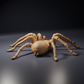 Foto del producto de la figura de animal Animal Den Miniatures 4: figura de arácnido: tarántula Goliat (26_10_01)