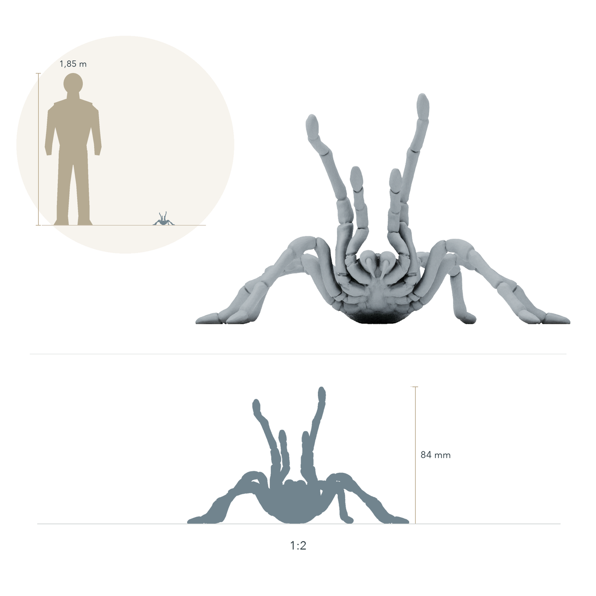 Foto del producto de figura animal Animal Den Miniatures 1: Figura de arácnido: tarántula Goliat - postura amenazante (26_10_02)