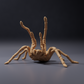 Foto del producto, figura de animal Animal Den Miniatures 0: figura de arácnido: tarántula Goliat - postura amenazante (26_10_02)