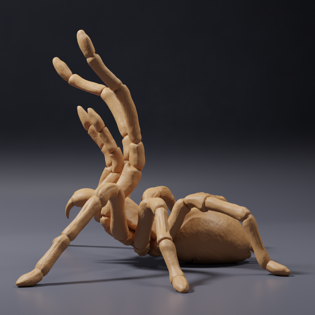 Foto del producto, figura de animal Animal Den Miniatures 3: figura de arácnido: tarántula Goliat - postura amenazante (26_10_02)