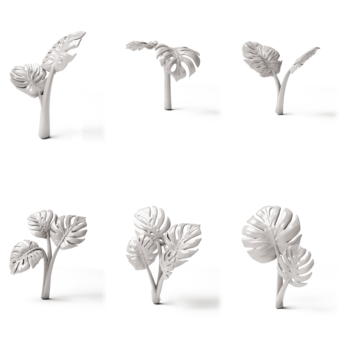 Set 05: 6 plantas en miniatura sobre fondo blanco (Monstera)