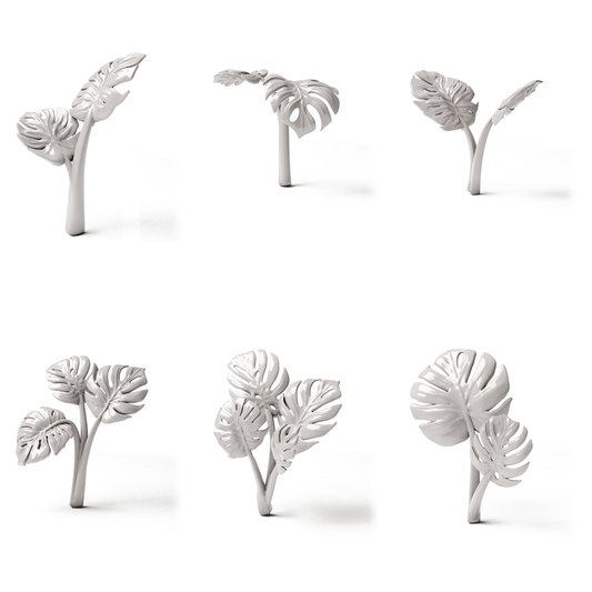 Set 05: 6 plantas en miniatura sobre fondo blanco (Monstera)