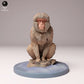 Produktfoto Tier Figur Diorama, Modellbau: 0: Wildtier Figur: sitzender Japanmakak (Ref 24_10_05)