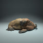 Foto del producto figura de animal diorama, modelismo: 0: figura de animal marino: morsas durmiendo (Ref 01_01_49)