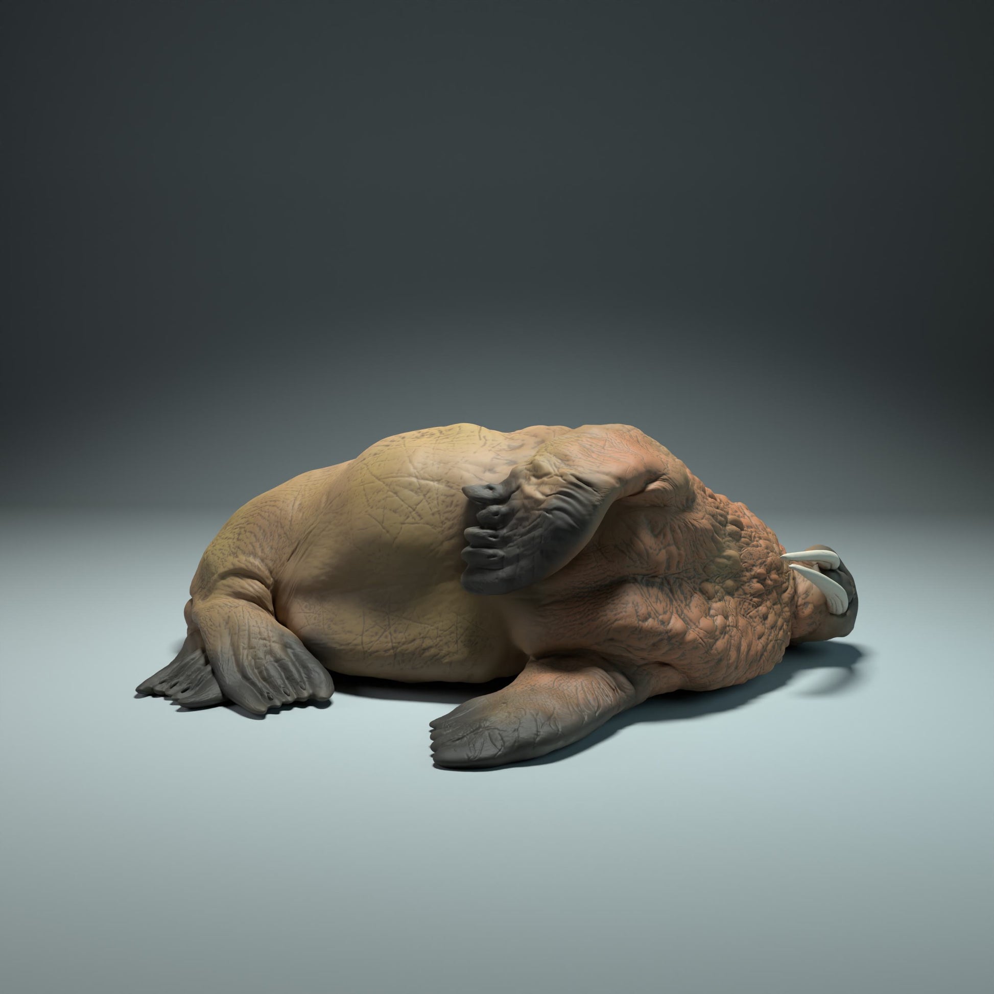 Foto del producto figura de animal diorama, modelismo: 0: figura de animal marino: morsas durmiendo (Ref 01_01_49)