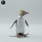 Foto del producto Figura de animal Diorama, Modelismo: 0: Figura de animal marino: Pingüino de roca – Rockhopper (Ref 01_01_64)