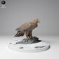 Produktfoto Tier Figur Diorama, Modellbau: 0: Wildtier Figur: Goldener Adler (Ref 24_12_12)