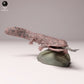 Produktfoto Tier Figur Diorama, Modellbau: 0: Wildtier Figur: Japanischer Riesensalamander mit Fisch (Ref 24_10_03)