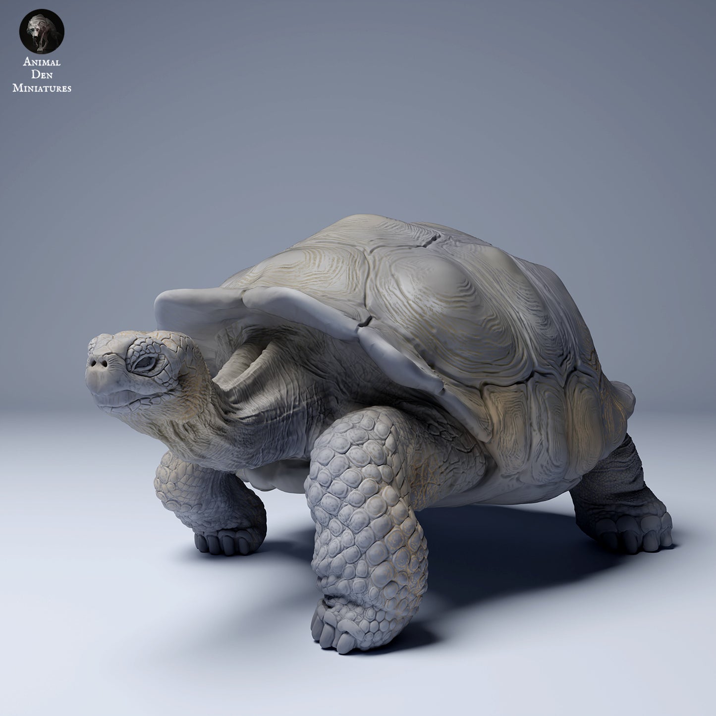 Produktfoto Tier Figur Diorama, Modellbau: 0: Wildtier Figur: Galápagos-Riesenschildkröte (Ref 24_08_05)