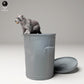 Produktfoto Tier Figur Diorama, Modellbau: 0: Wildtier Figur: Waschbär am Müll – Gewöhnlicher Waschbär (Ref 24_09_09)