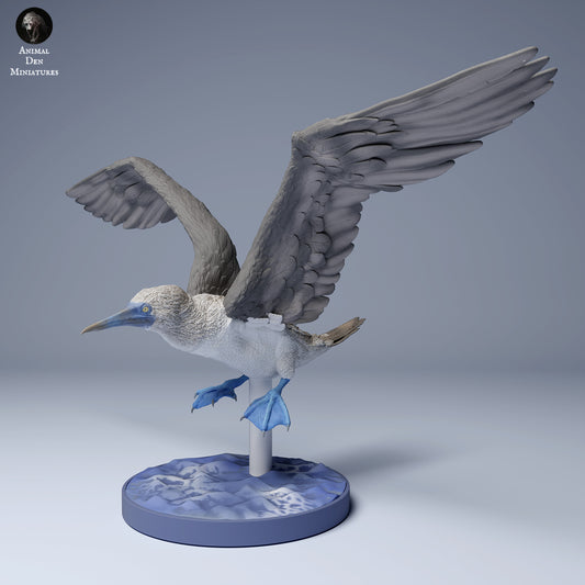 Produktfoto Tier Figur Diorama, Modellbau: 0: Meerestier Figur: Blaufußtölpel im Flug (Ref 24_08_07)