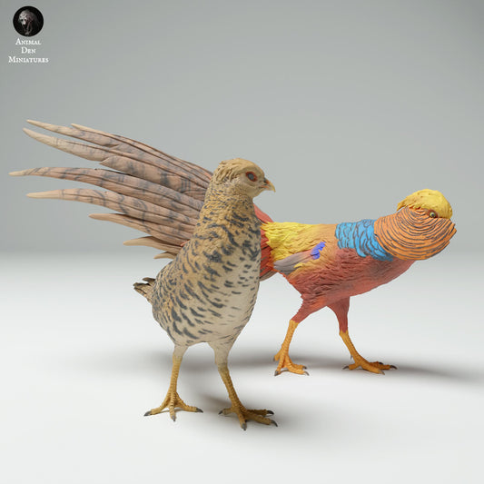 Produktfoto Tier Figur Diorama, Modellbau: 0: Wildtier Figuren: Goldfasan Männchen und Weibchen (Ref 25_02_04)