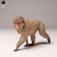 Produktfoto Tier Figur Diorama, Modellbau: 0: Wildtier Figur: Japanischer Makak – Schneeaffe (Ref 24_10_09)