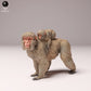 Produktfoto Tier Figur Diorama, Modellbau: 0: Wildtier Figur: Japanmakak Weibchen mit Jungtier (Ref 24_10_07)