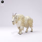 Produktfoto Tier Figur Diorama, Modellbau: 0: Wildtier Figur: Rocky Mountain Ziege – Männlich (Ref 25_01_01)