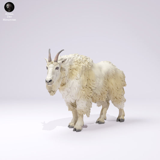 Produktfoto Tier Figur Diorama, Modellbau: 0: Wildtier Figur: Rocky Mountain Ziege – Männlich (Ref 25_01_01)