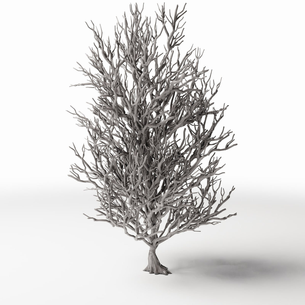Foto de producto de diorama y modelismo 3: Plantas para diorama: árbol alto sin hojas con raíces (Ref. 1092D)