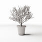 Foto de producto de diorama y modelismo 0: Plantas para diorama: planta en maceta con arbusto ornamental ramificado (Ref. 1096D)