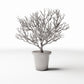 Foto de producto de diorama y modelismo 2: Plantas para diorama: planta en maceta con arbusto ornamental ramificado (Ref. 1096D)