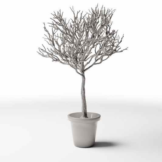 Foto de producto de diorama y modelismo 0: Plantas para diorama: árbol ornamental sin hojas en maceta (Ref. 1100D)