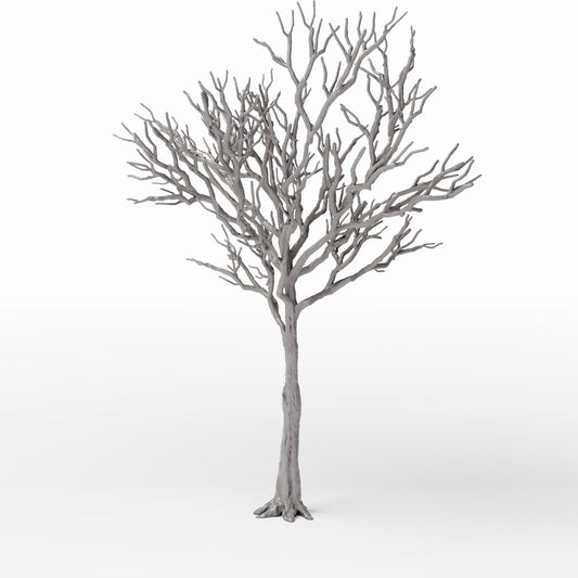 Foto de producto de diorama y modelismo 0: Plantas para diorama: árbol caducifolio detallado sin hojas (Ref. 1104D)