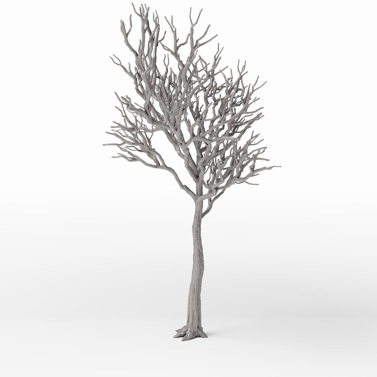 Foto de producto de diorama y modelismo 2: Plantas para diorama: árbol caducifolio detallado sin hojas (Ref. 1104D)